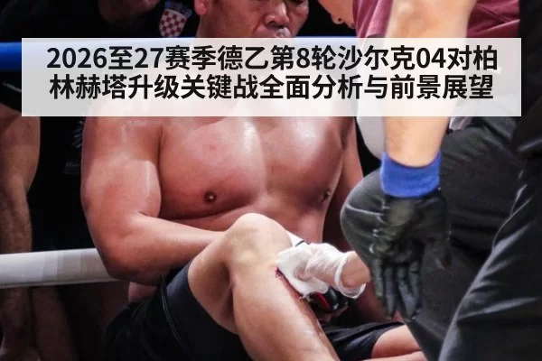 2026至27赛季德乙第8轮沙尔克04对柏林赫塔升级关键战全面分析与前景展望